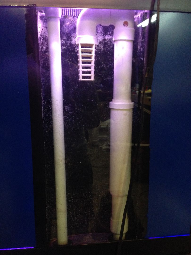 Overflow/ Drain noise The Reef Tank